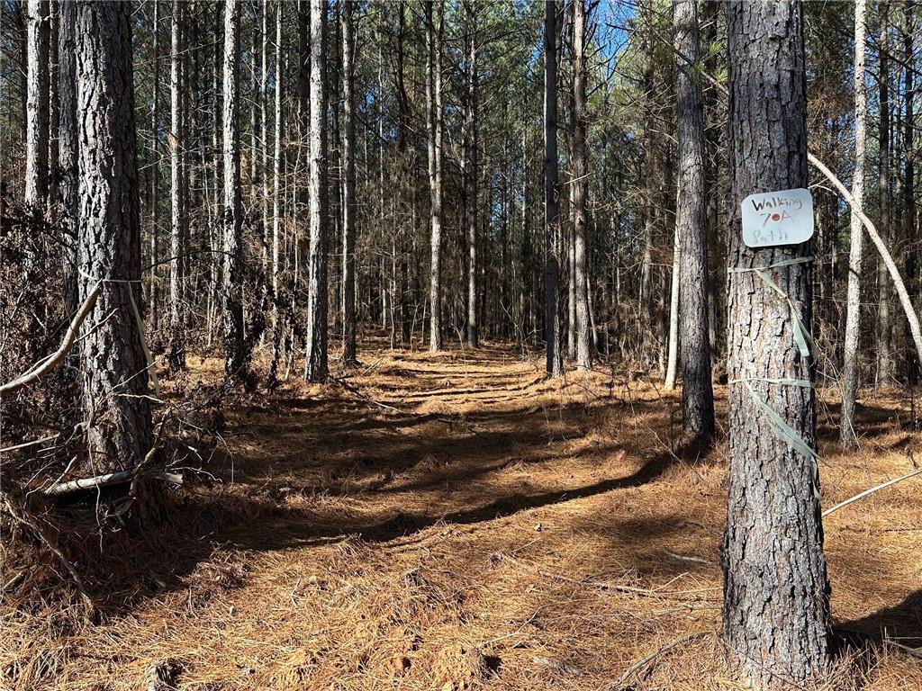 1107 Larmon Forks Road