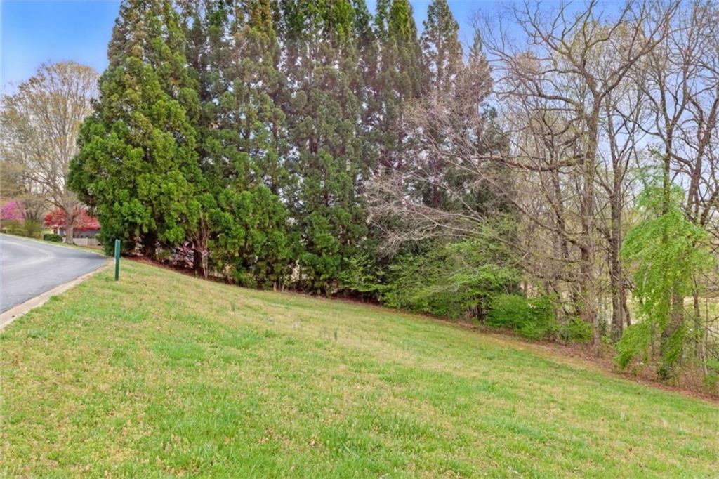 Granny Smith Circle, Clarkesville, Georgia image 11