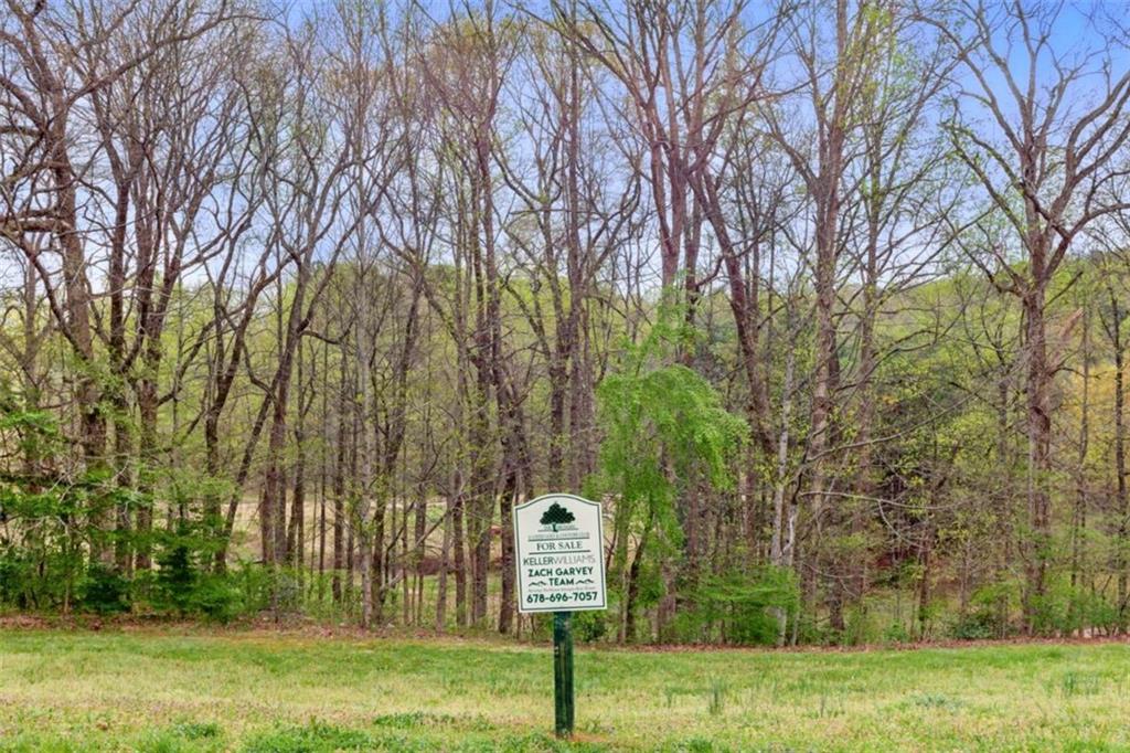 Granny Smith Circle, Clarkesville, Georgia image 10