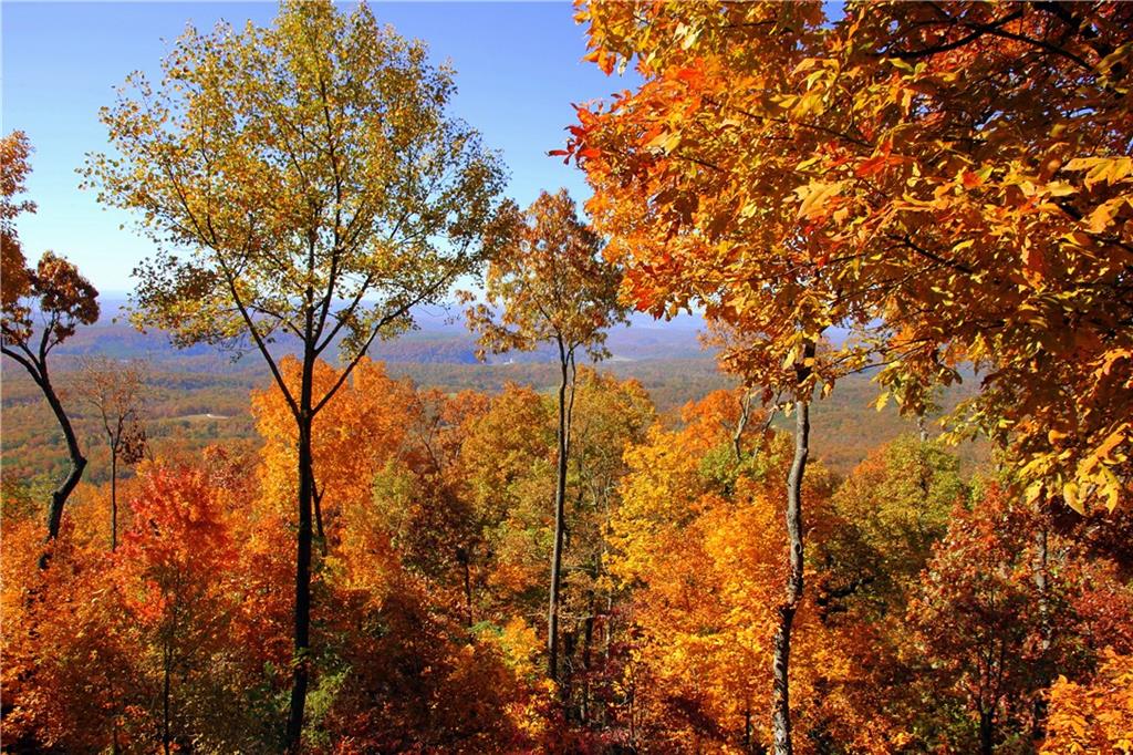 47 Bell Flower Drive