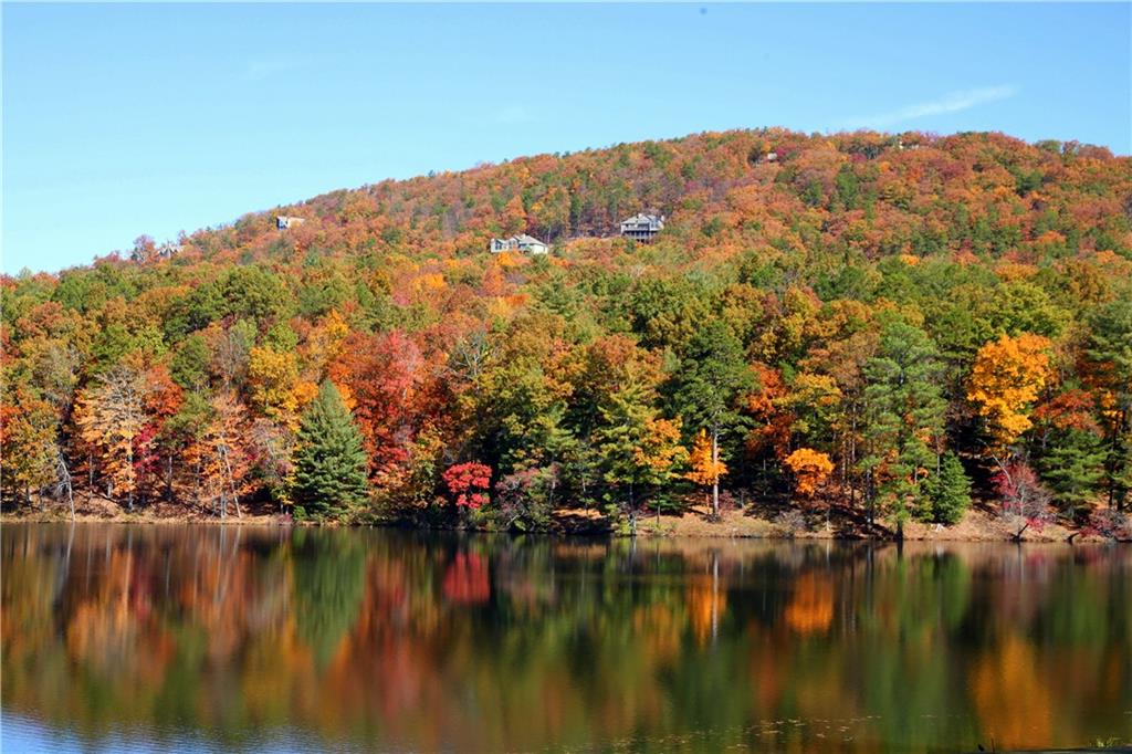 47 Bell Flower Drive