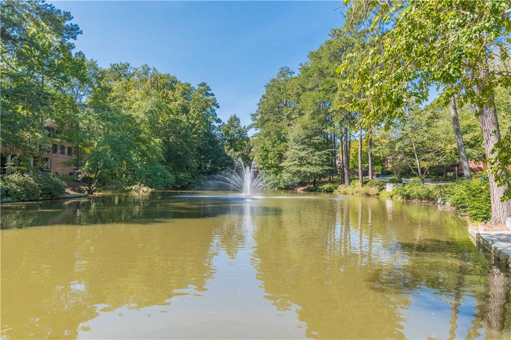 28106 Plantation Drive, Atlanta, Georgia image 44