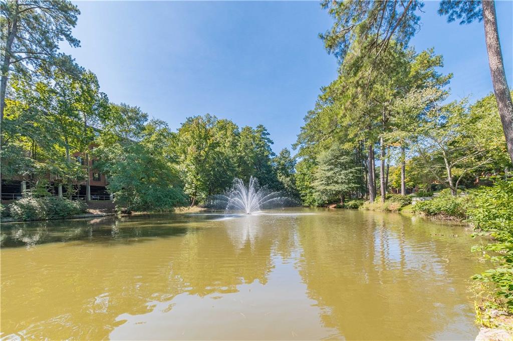28106 Plantation Drive, Atlanta, Georgia image 46