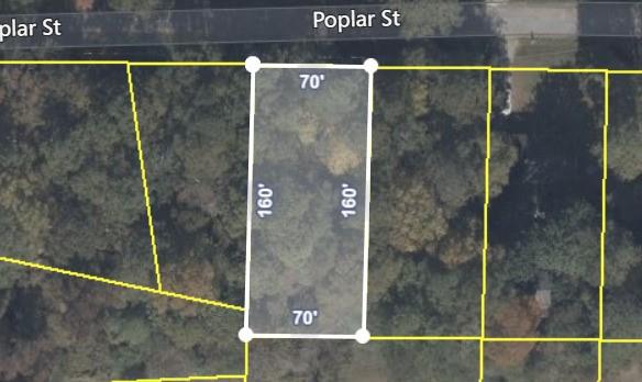 Poplar Avenue, Morrow, Georgia image 1