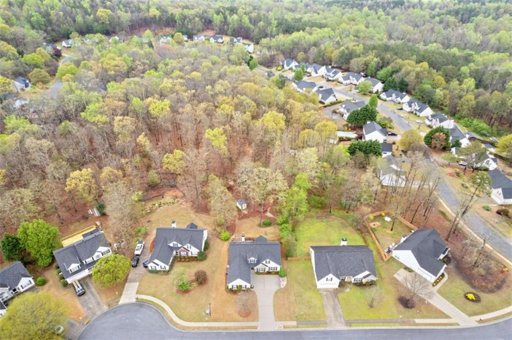 7144 Regent Court, Flowery Branch, Georgia image 37