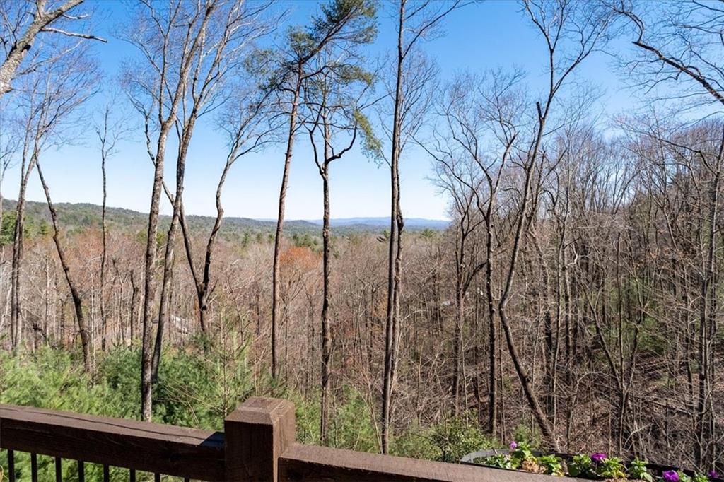 130 Chief Whitetails Road, Ellijay, Georgia image 2