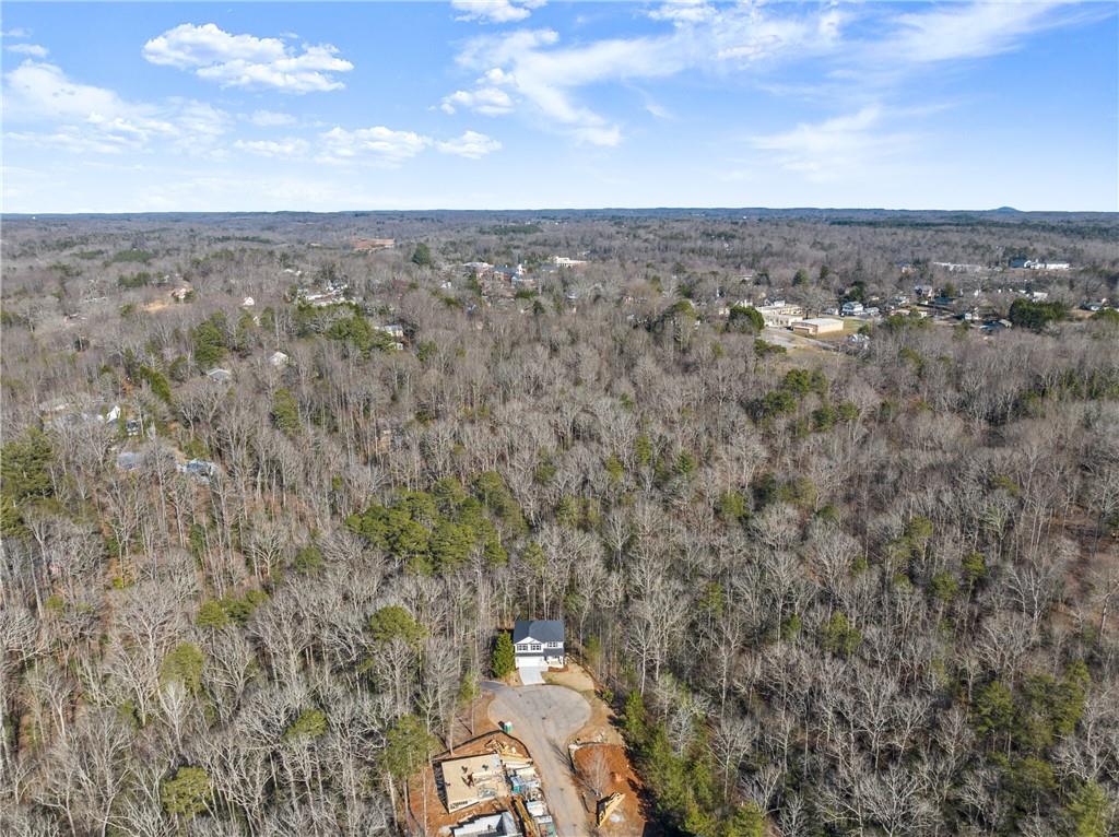 554 Wauka Drive, Demorest, Georgia image 42