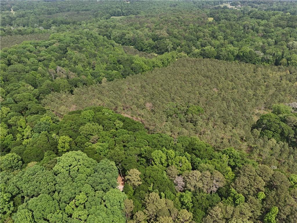 Watkins Farm Road, Nicholson, Georgia image 8