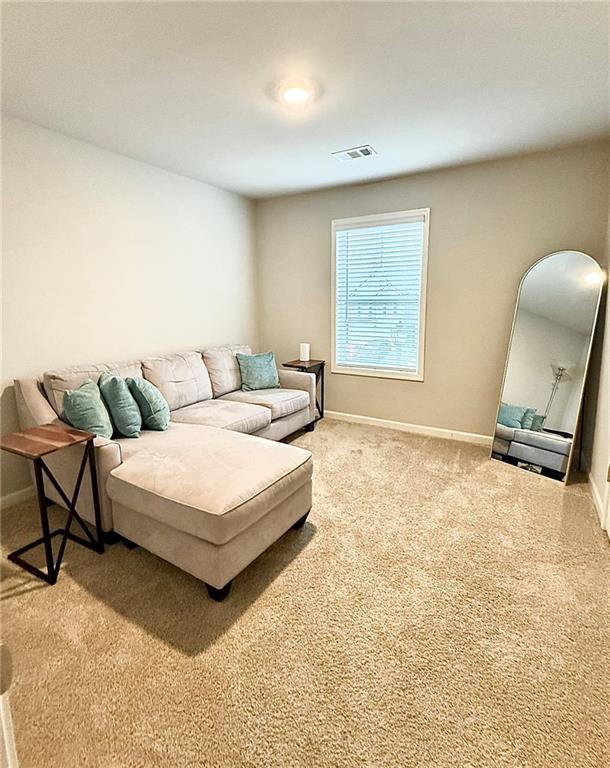 Viilage at Woodstock Grove - Residential