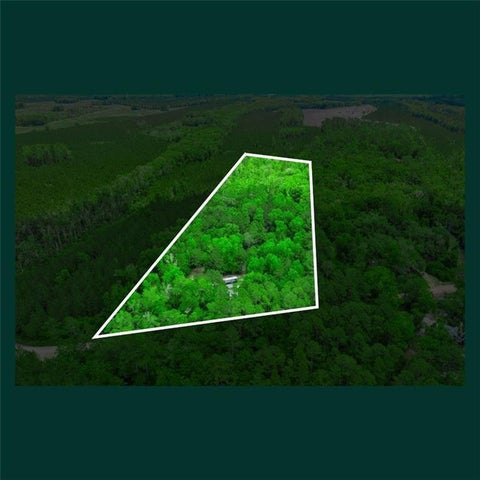 Vacant Land For Sale - 5435 Springhill Road<br/> Folkston, GA 31537