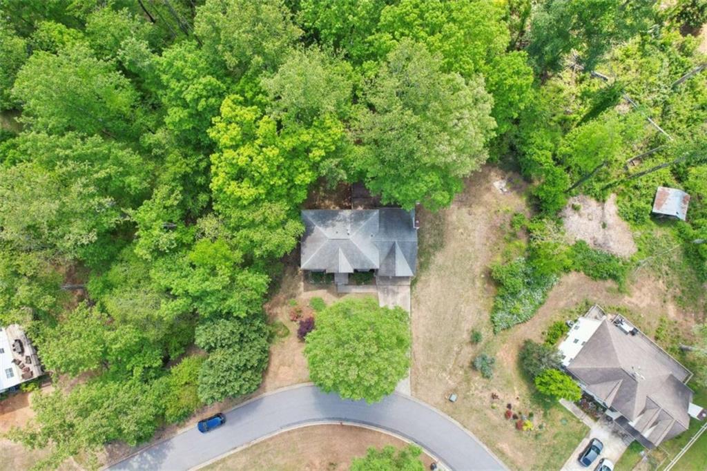 6230 Lillie Lane, Cumming, Georgia image 46