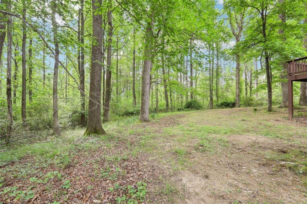 6230 Lillie Lane, Cumming, Georgia image 39