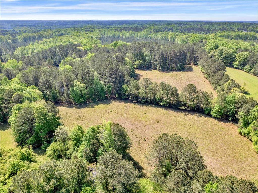 1025 Rocky Plains Road, Covington, Georgia image 14