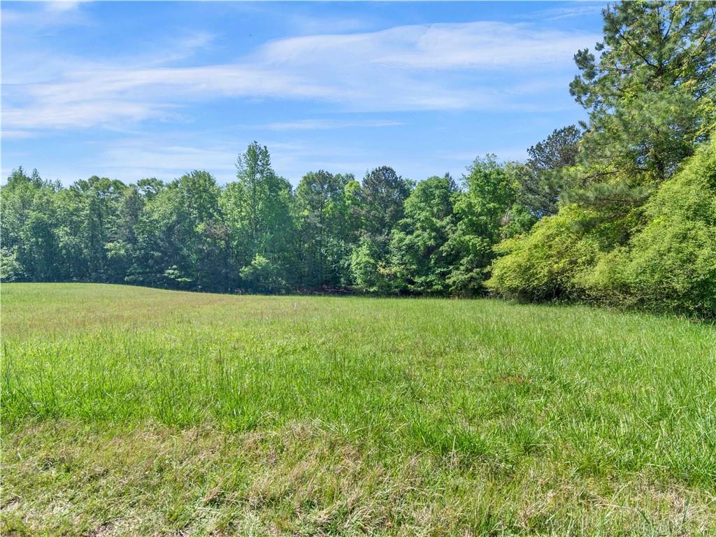 1025 Rocky Plains Road, Covington, Georgia image 8