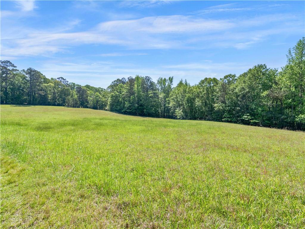 1025 Rocky Plains Road, Covington, Georgia image 9