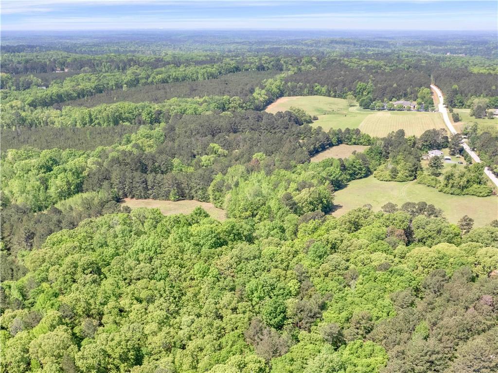 1025 Rocky Plains Road, Covington, Georgia image 11