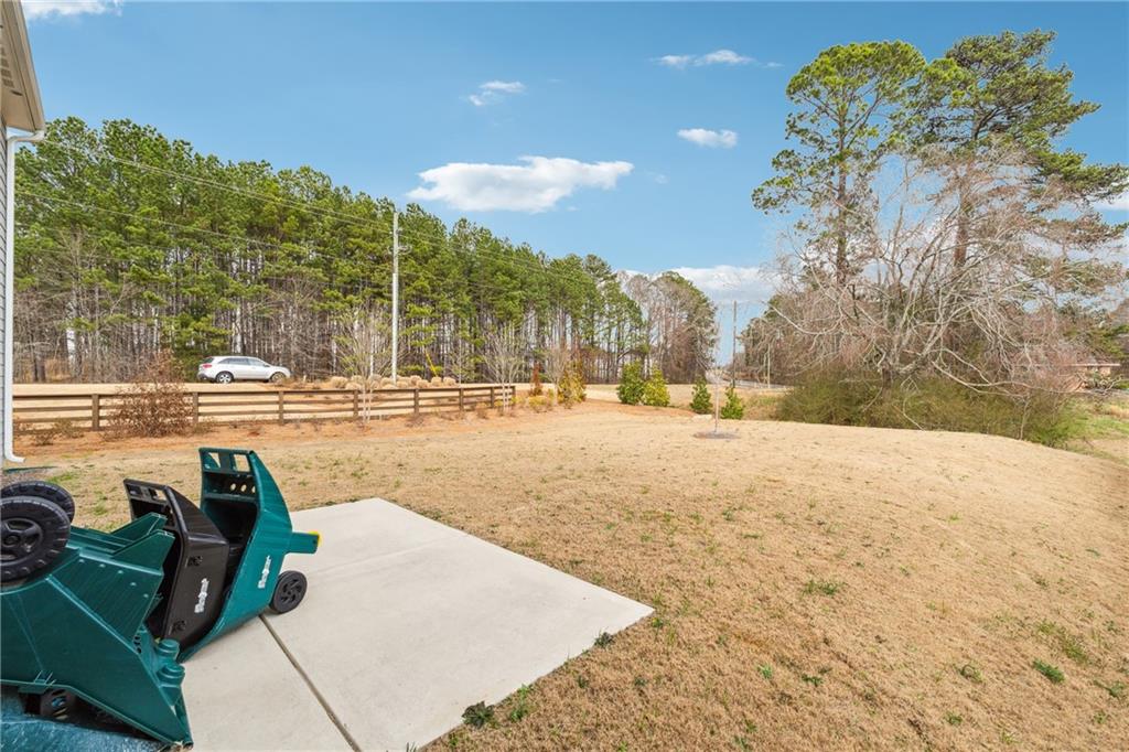 21 Traminer Way, Braselton, Georgia image 37