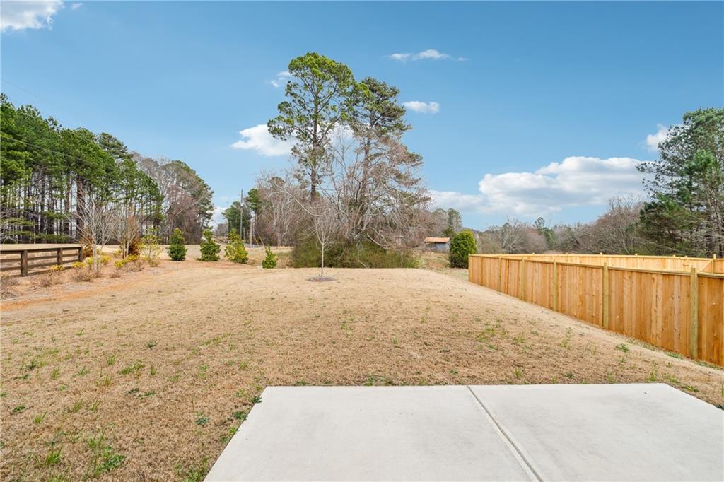 21 Traminer Way, Braselton, Georgia image 39