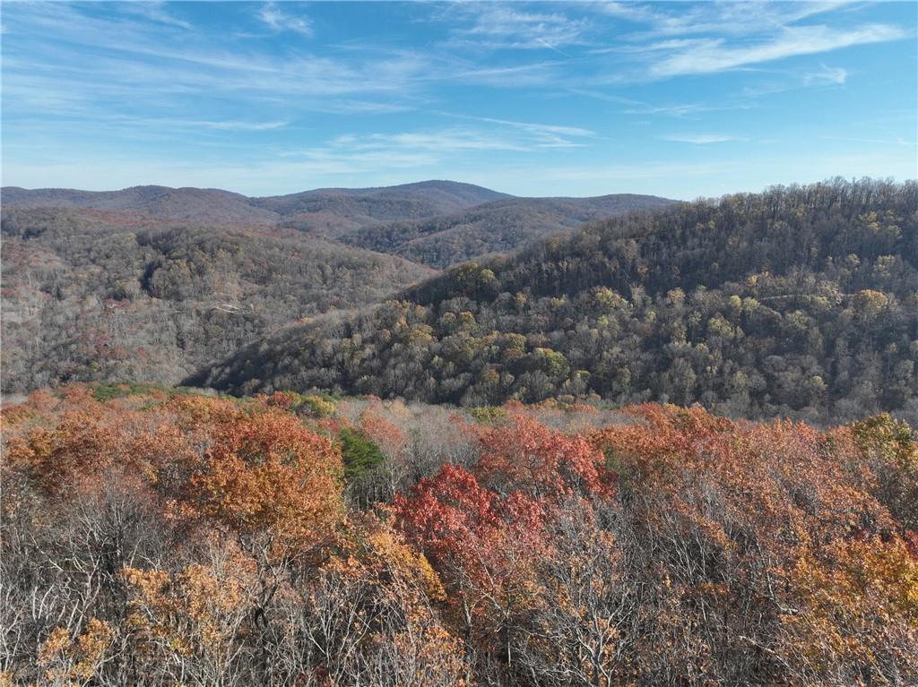 274 Andes Ridge, Ellijay, Georgia image 5