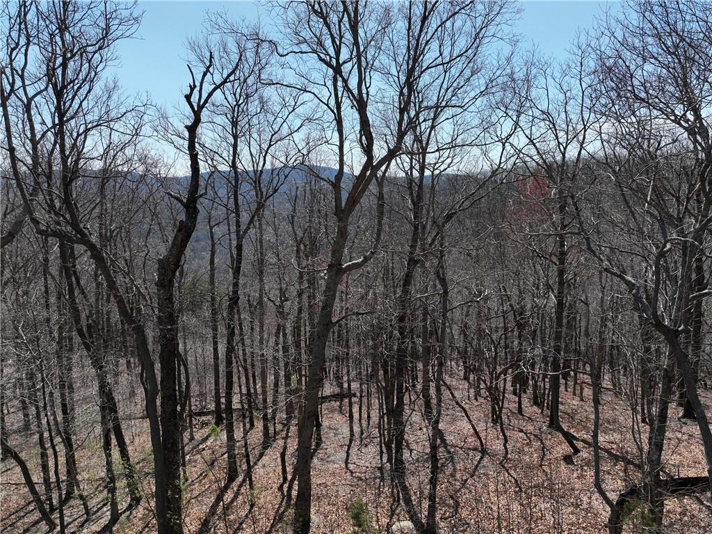 274 Andes Ridge, Ellijay, Georgia image 16