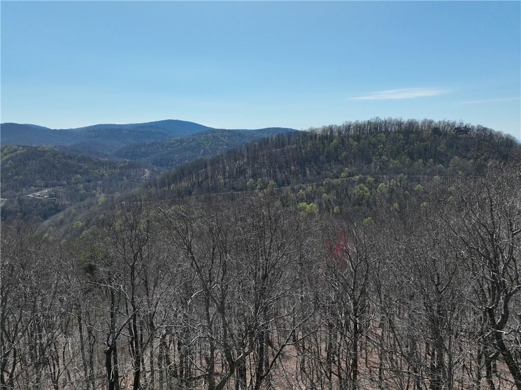 274 Andes Ridge, Ellijay, Georgia image 22