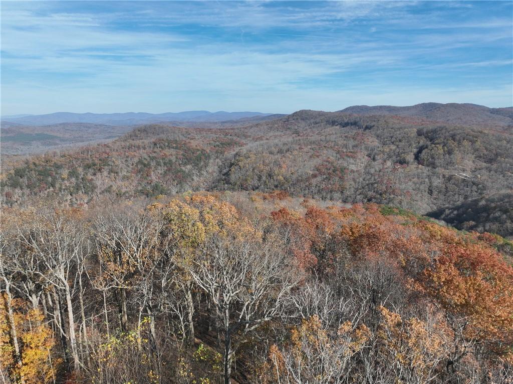 274 Andes Ridge, Ellijay, Georgia image 7