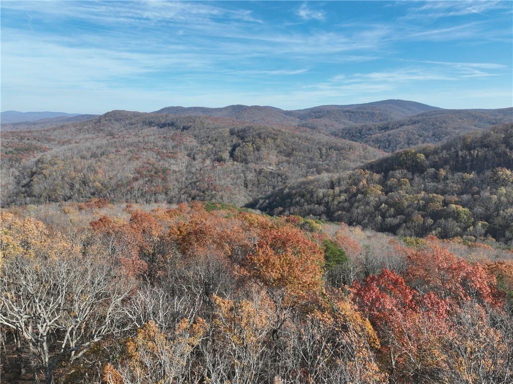 274 Andes Ridge, Ellijay, Georgia image 6