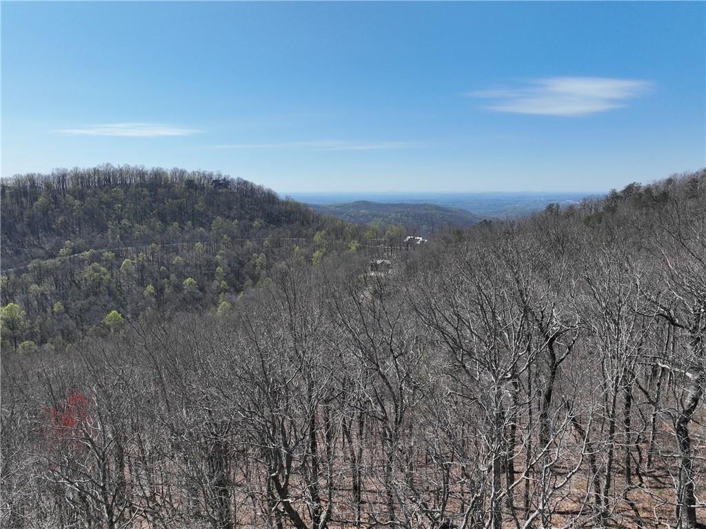 274 Andes Ridge, Ellijay, Georgia image 24