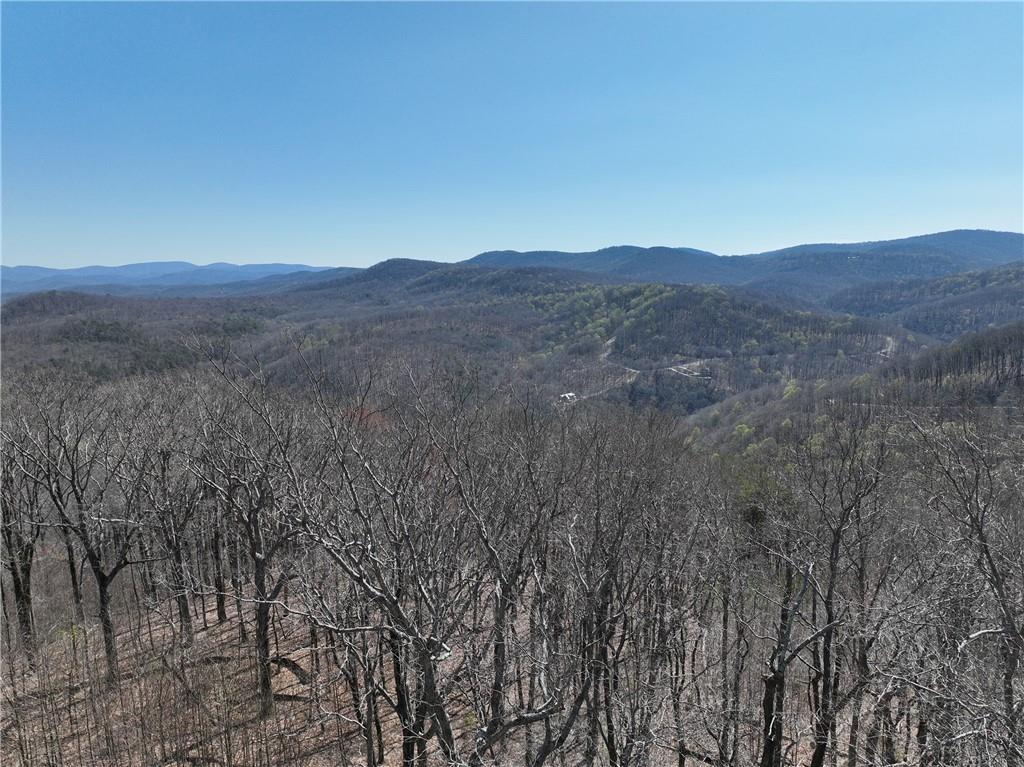 274 Andes Ridge, Ellijay, Georgia image 20