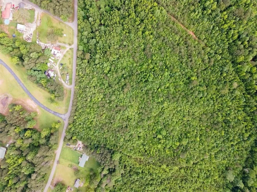 98 Clayton Drive, Bremen, GA, 30110