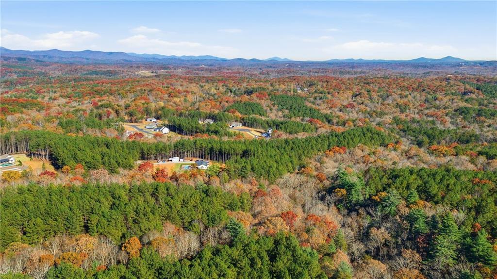 120 Twisted Pines Crossing