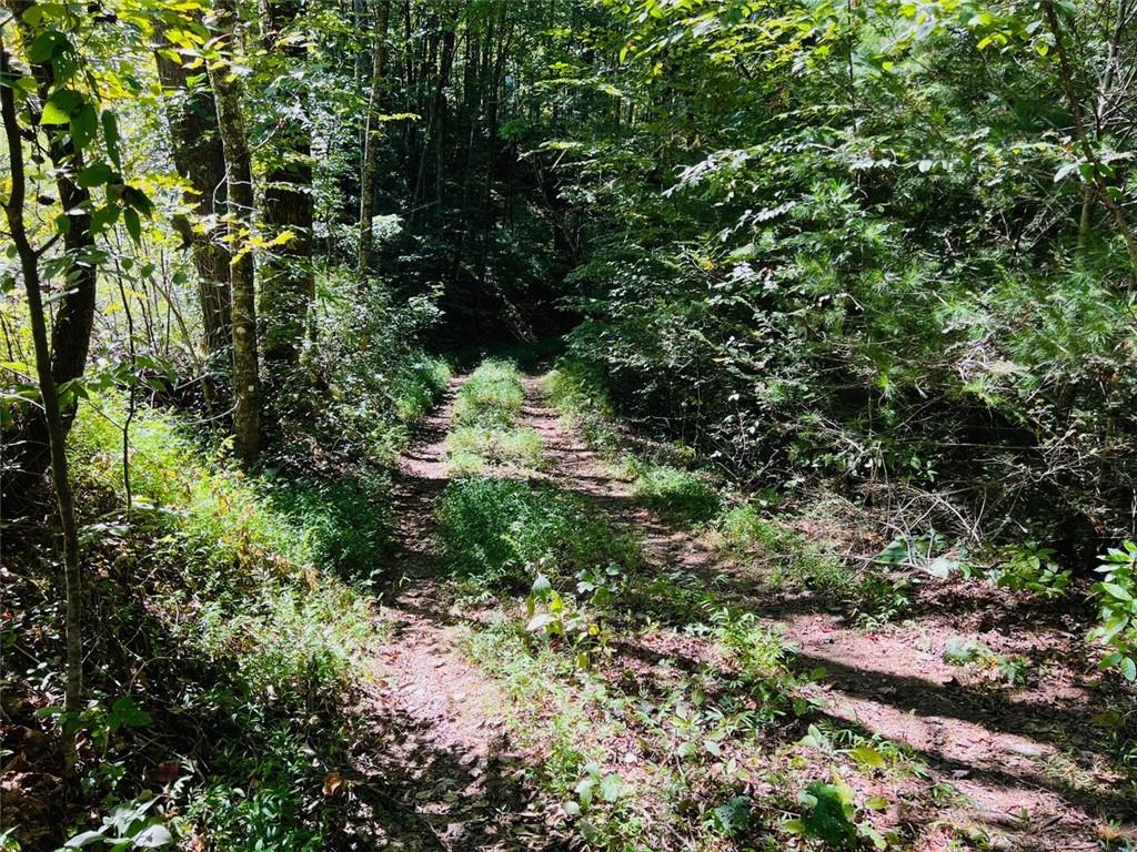 4/ 5 Maxwell Mountain Road