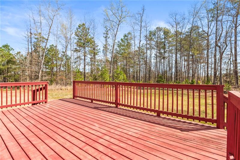 12348 Hillcrest Drive, Hampton, Georgia image 39