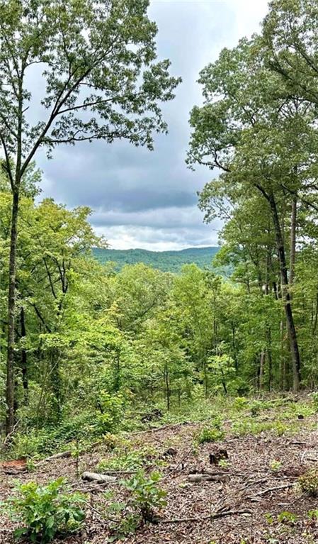 MOTIVATED SELLER!!!!! Entertaining ALL OFFERS! Discover your slice of paradise in Creekside Crossing, Talking Rock, Georgia! Lot 314 is a stunning 5.51-acre lot offers year-round, long-range mountain views that will take your breath away. Nestled in the heart of nature, the property is partially cleared, allowing you to envision your dream home with ease. A driveway is already in place, making access to your future retreat convenient and straightforward. Whether you're looking for a peaceful escape or a place to build a custom home, this lot provides the perfect balance of natural beauty and modern convenience. Don't miss out on this exceptional opportunity to own a piece of paradise in one of Georgia's most picturesque locations. Creekside Crossing is a gated mountain community with amenities of access to Talking Rock Creek, UTV friendly and hiking trails and brand new clubhouse with a sundeck and infinity pool with an amazing mountain view.