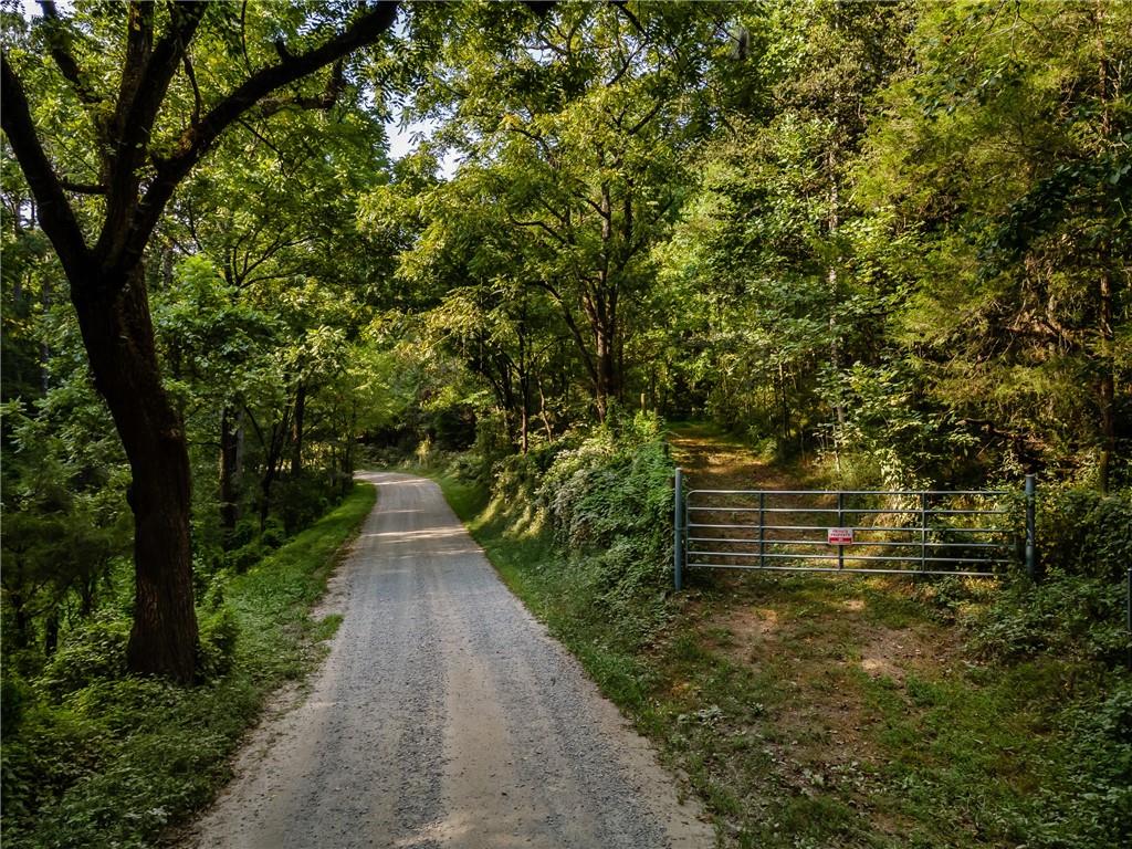 Long Branch Road, Ranger, Georgia image 1