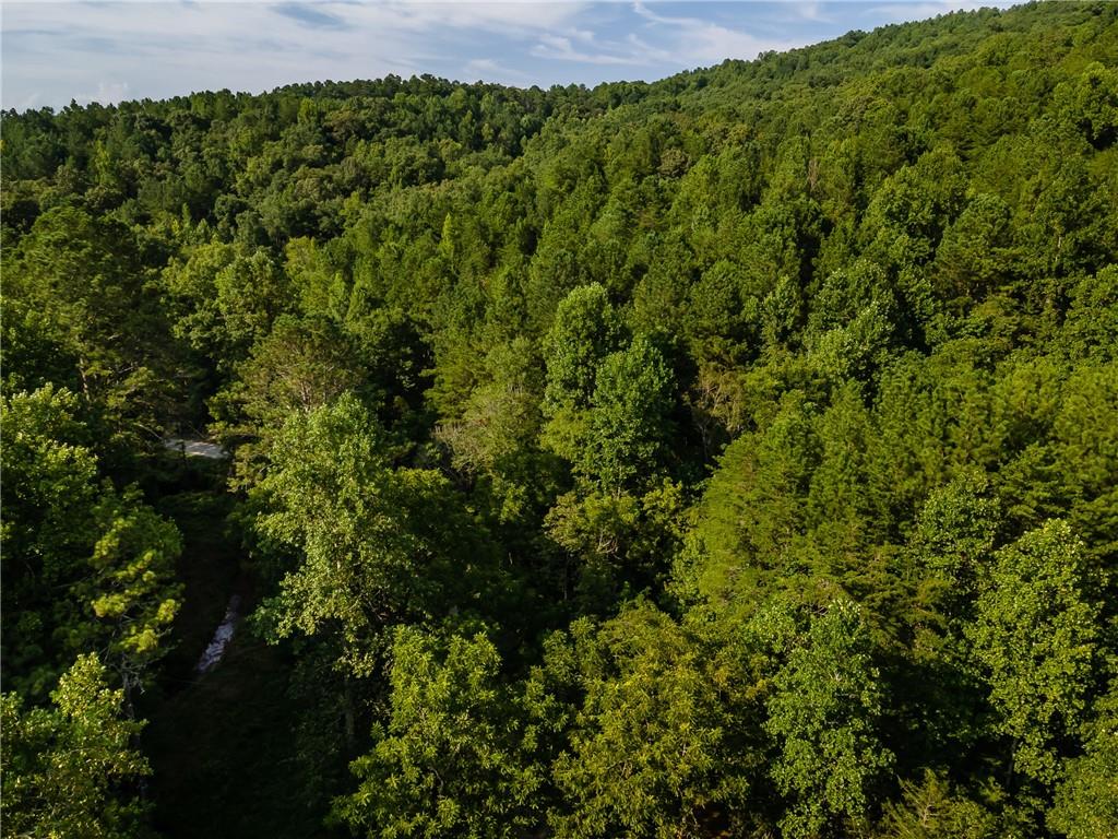 Long Branch Road, Ranger, Georgia image 28