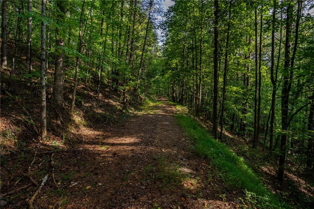 Long Branch Road, Ranger, Georgia image 36