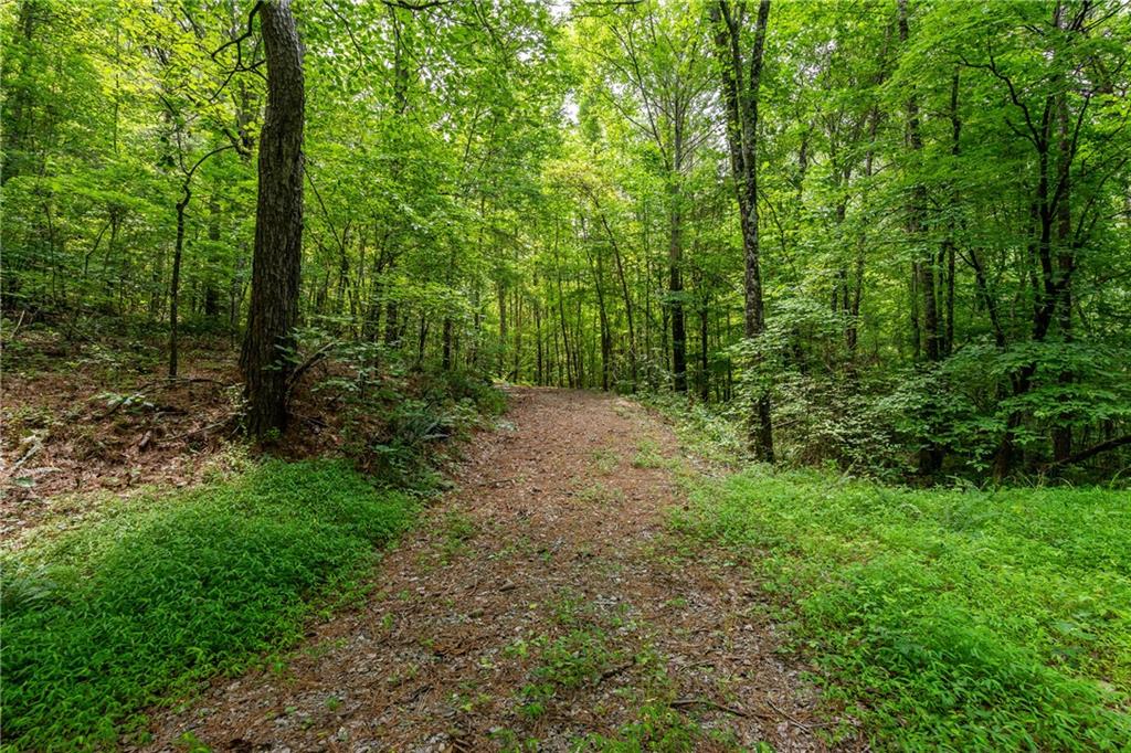 Long Branch Road, Ranger, Georgia image 8