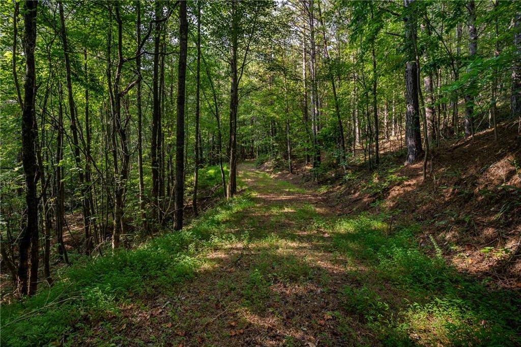 Long Branch Road, Ranger, Georgia image 33