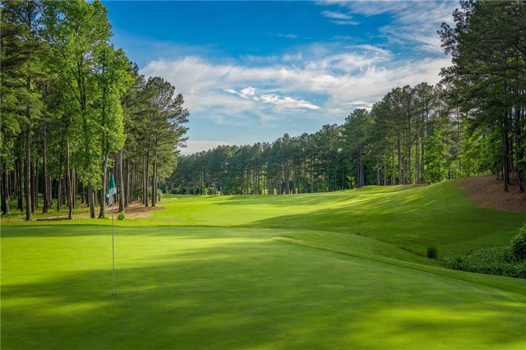 18 Torry Pines Circle, Villa Rica, Georgia image 25
