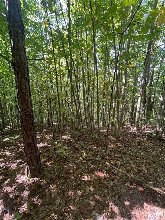 Rainwater Trl, Lot 11, Tiger, Georgia image 4