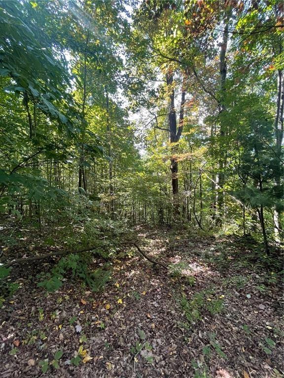 Rainwater Trl, Lot 11, Tiger, Georgia image 5