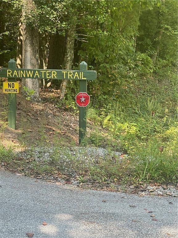 Rainwater Trl, Lot 11, Tiger, Georgia image 3
