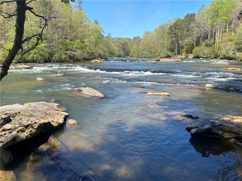 Twin River Orchard Road, Demorest, Georgia image 36