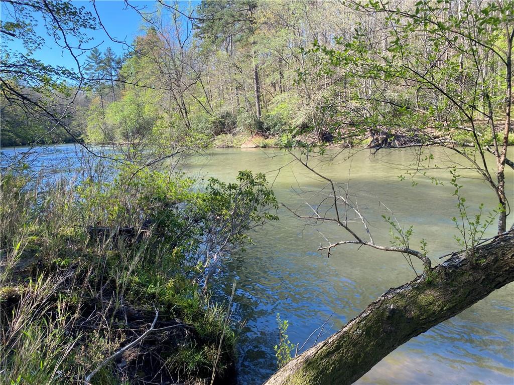 Twin River Orchard Road, Demorest, Georgia image 3