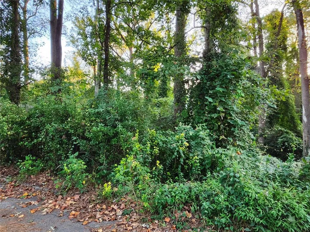 Pine Lake, Georgia 30072, United States, ,Land,Active,213810