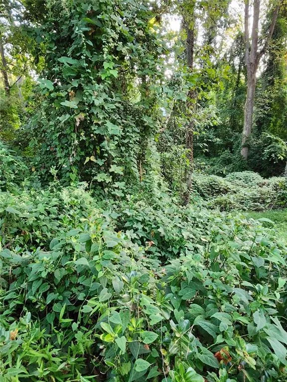 Pine Lake, Georgia 30072, United States, ,Land,Active,213810