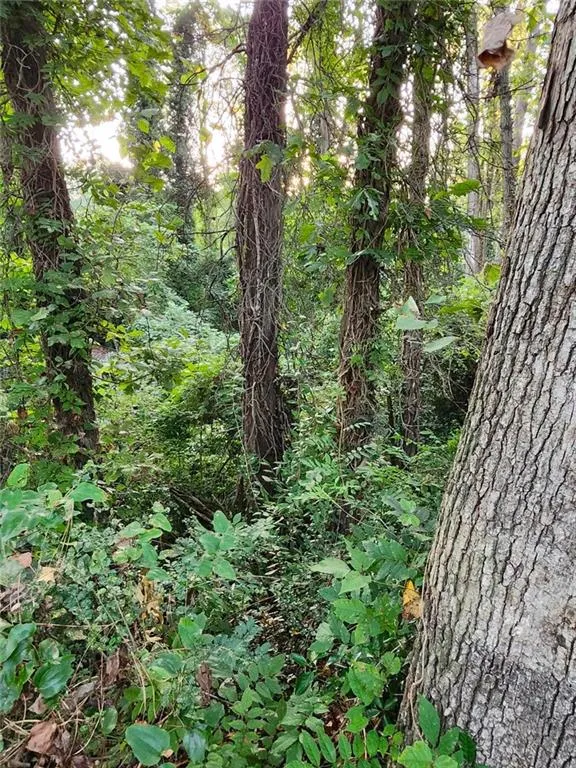 Pine Lake, Georgia 30072, United States, ,Land,Active,213810