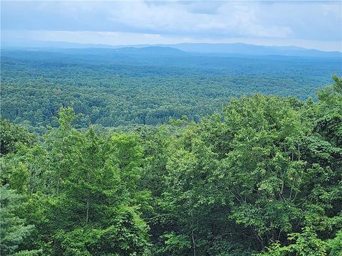 A home in Ellijay