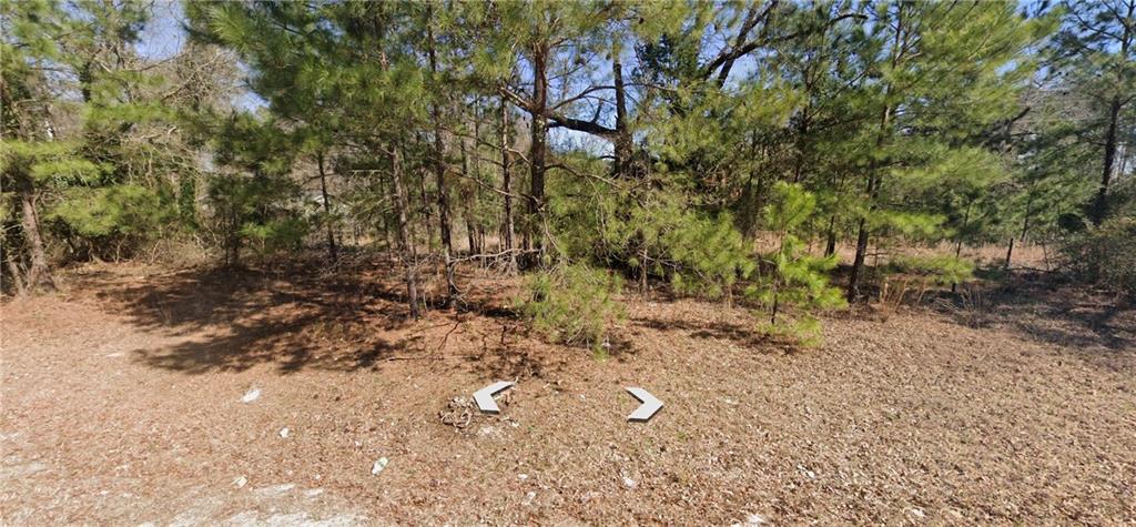2581 Old Riggs Mill Road